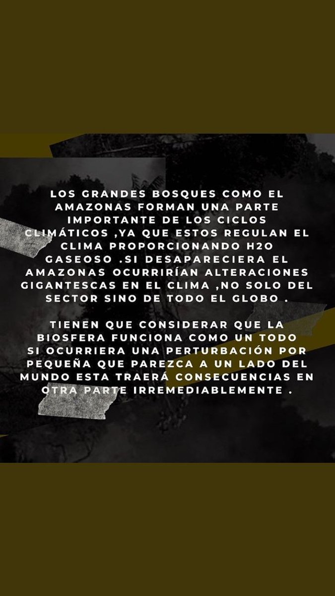 coloncito13's tweet photo. #PrayforAmazonia 🌎 https://t.co/QzmdH9bPhB