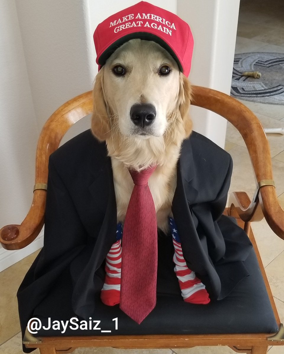JayEngland007's tweet photo. My dog Magnum is a great Patriot 🇺🇸
Is it possible for your first tweet to go viral? Share if you like!
#trump2020 #maga #kag
Some favs: @realdonaldtrump @realdrgina @dloesch @thereaganbabe @joerogan @hollandcourtney @foxnews @thefivefnc @jessewatters
#goldenretriever #Patriot https://t.co/MCSBLrxSAq