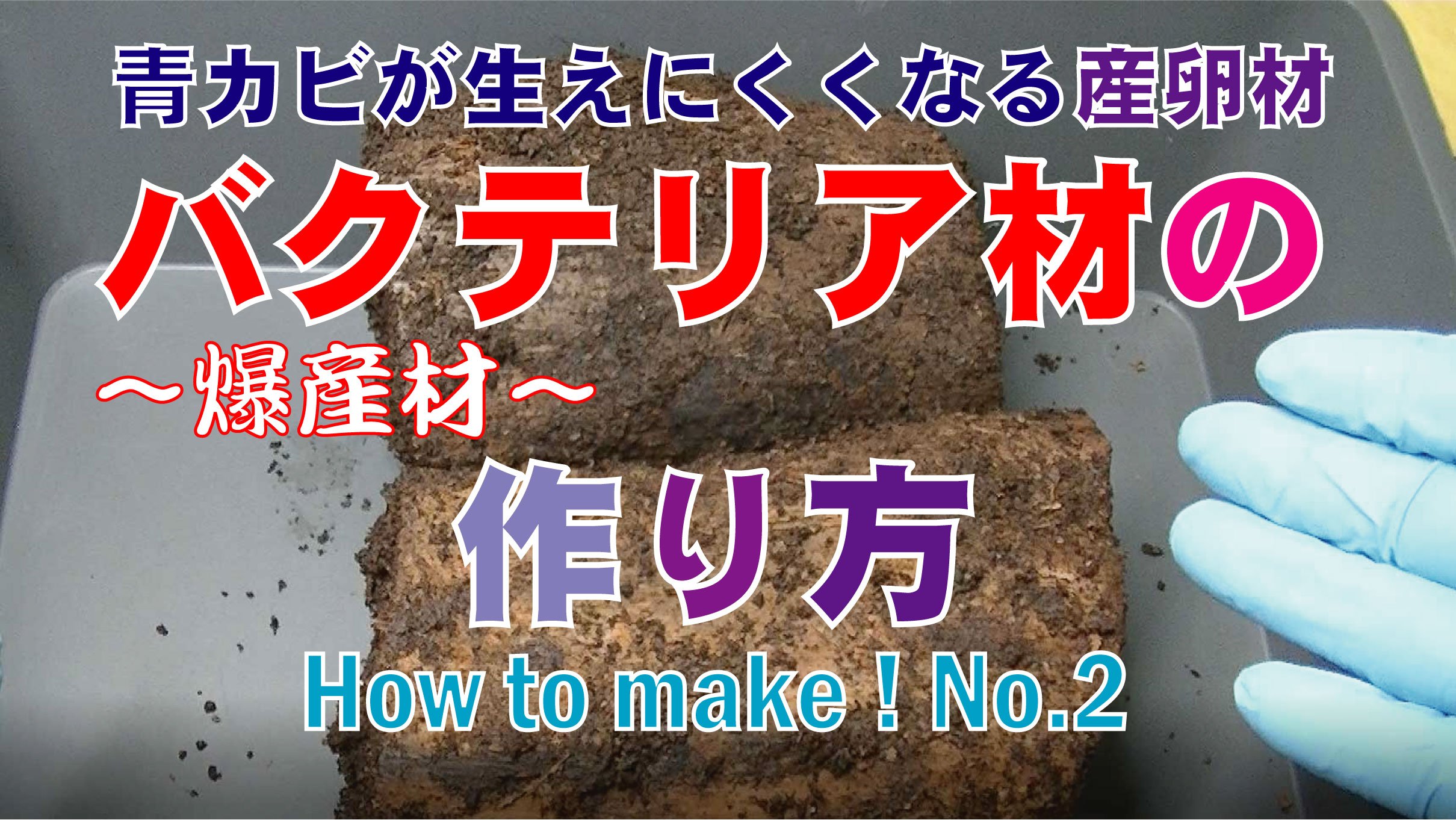 ノリス Insect Lovers 最新のyoutube動画をアップしました バクテリア材の作り方 How To Make No 2 青カビが生えにくくなる産卵材 バクテリア材の作り方をご紹介致します 拡散希望 クワカブyoutubers バクテリア材 産卵材 Stagbeetle Youtube
