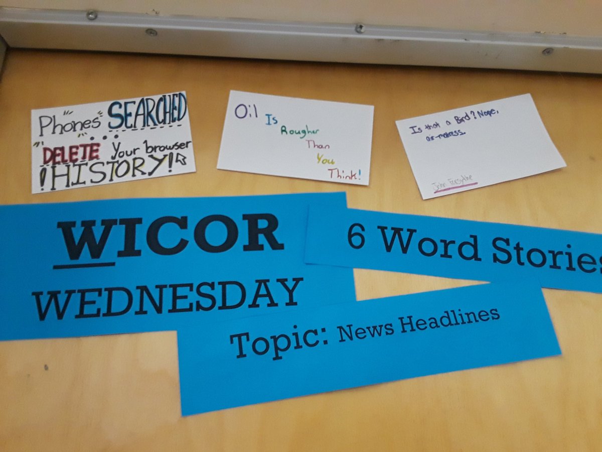 Shannon Hauser tweet media