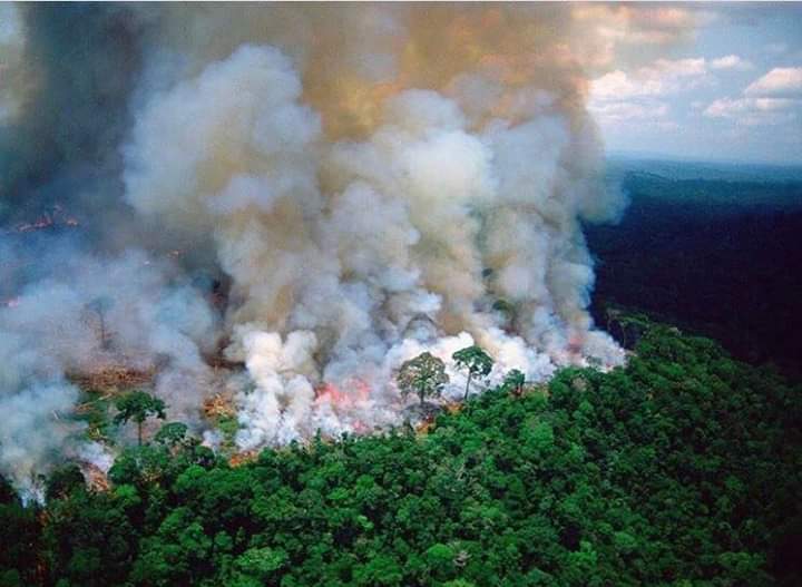 alecxis678's tweet photo. El ser humano está destruyendo el planeta 🌍, como si tuviera adonde ir. Cada mala  decisión y cada mal comentario también destruyen. Así estamos hoy  #amazonasenllamas https://t.co/7QpzMBK3MR