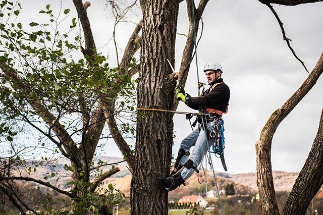 ameyallicamp's tweet photo. Lumberjack
#YoSoyRopeAccessPro #YoSoyTrepador
-
-
#industrialathlete #roperescue #performanceworkwear #construction #arblife #towerclimber #industrialclimbing #rescue #sprat #treelife #irata #safety #heightsafety #treeclimbing #freedomtofocus #workatheight #treeclimb… https://t.co/334406hjCy