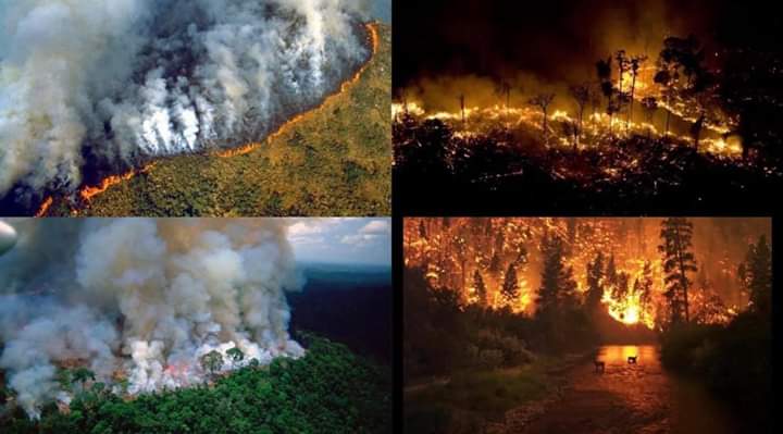 cesartraveler's tweet photo. Praying for Amazonia. The Amazonia forest been burning for more then 2 weeks. And nobody cares. 🙏🙏🙏🙏🙏🙏😥😥

#Amazonie #AmazonFire #PrayForTheAmazon #naturelovers #brasil #peru https://t.co/hBRplJzsYW
