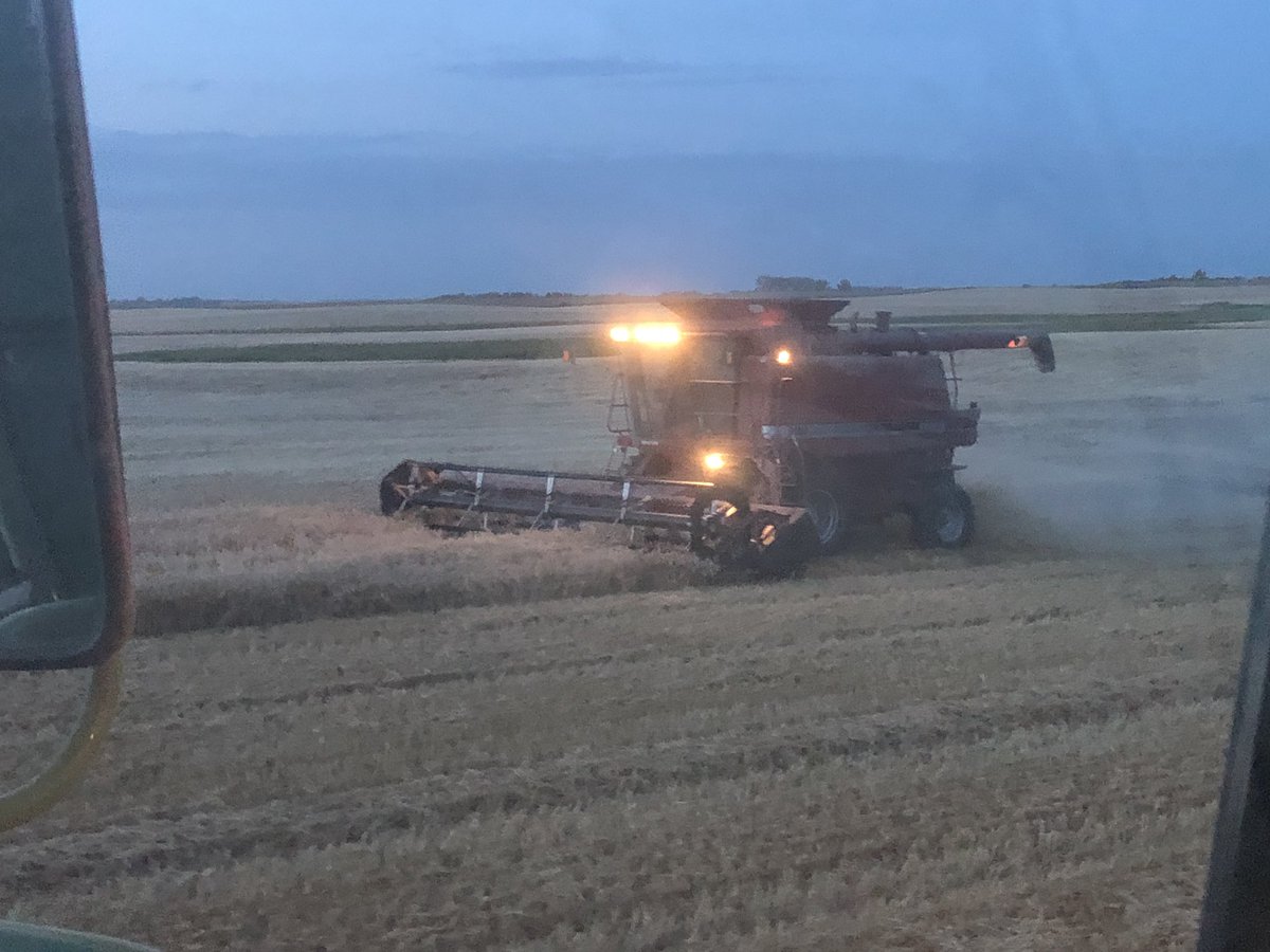 husocrop's tweet photo. Mom N Law @jencarlson got a great shot tonight. Bro N laws @landonwood21 in red combine @b_rycewood on the cart. #wheat #harvest19 https://t.co/taln8zeIgE