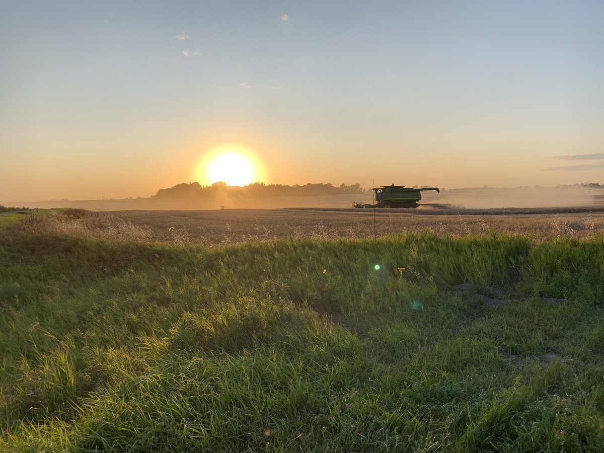 husocrop's tweet photo. Mom N Law @jencarlson got a great shot tonight. Bro N laws @landonwood21 in red combine @b_rycewood on the cart. #wheat #harvest19 https://t.co/taln8zeIgE