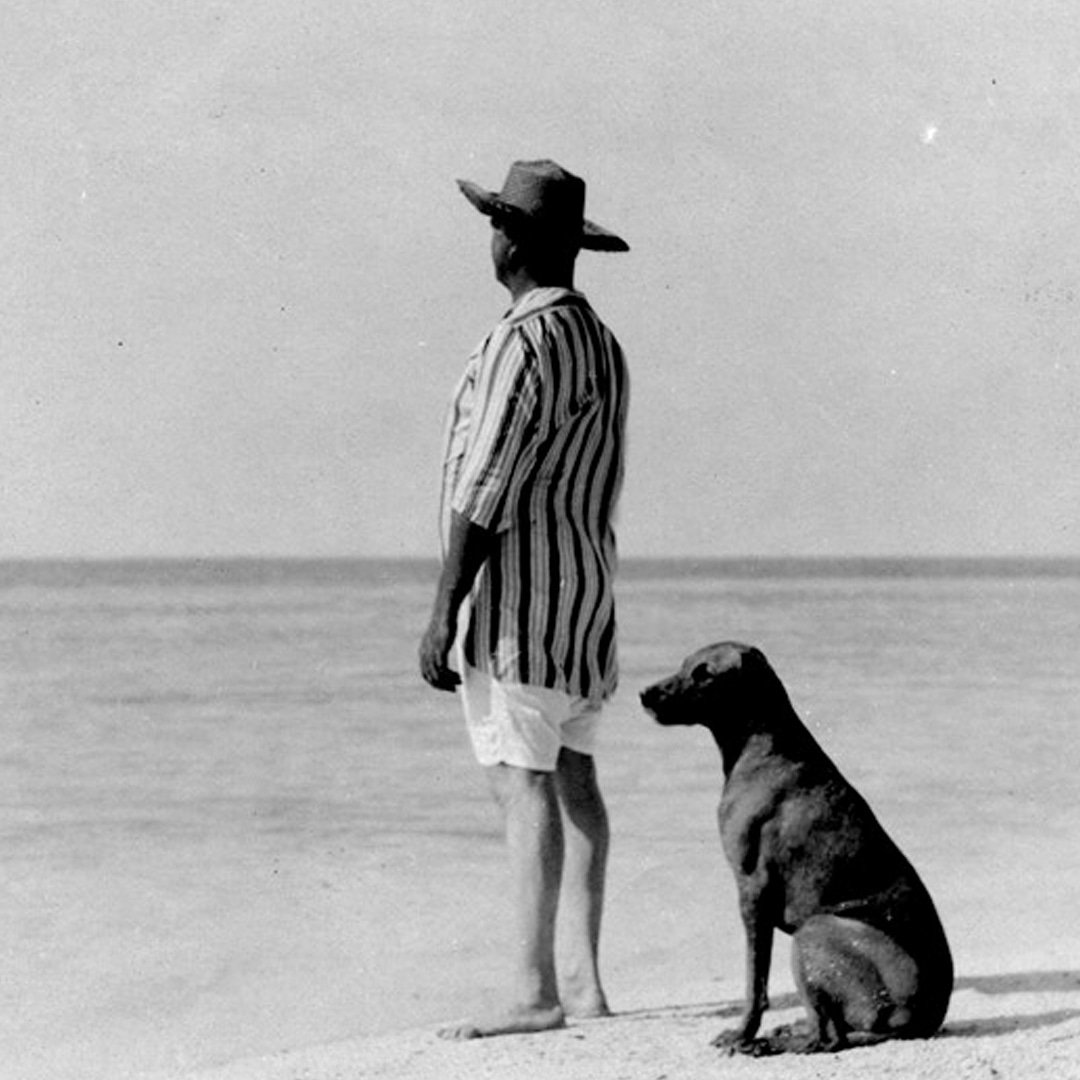 LittlePalmFL's tweet photo. There was a place where palm trees swayed. And Presidents played.  A  private place of history.  A  private place of serenity. 

Get lost all over again. Little Palm Island reopens early 2020 (archive photo) #getlost #getlostalloveragain #littlepalmisland #reborn #wanderlust https://t.co/z6p9da5eH1