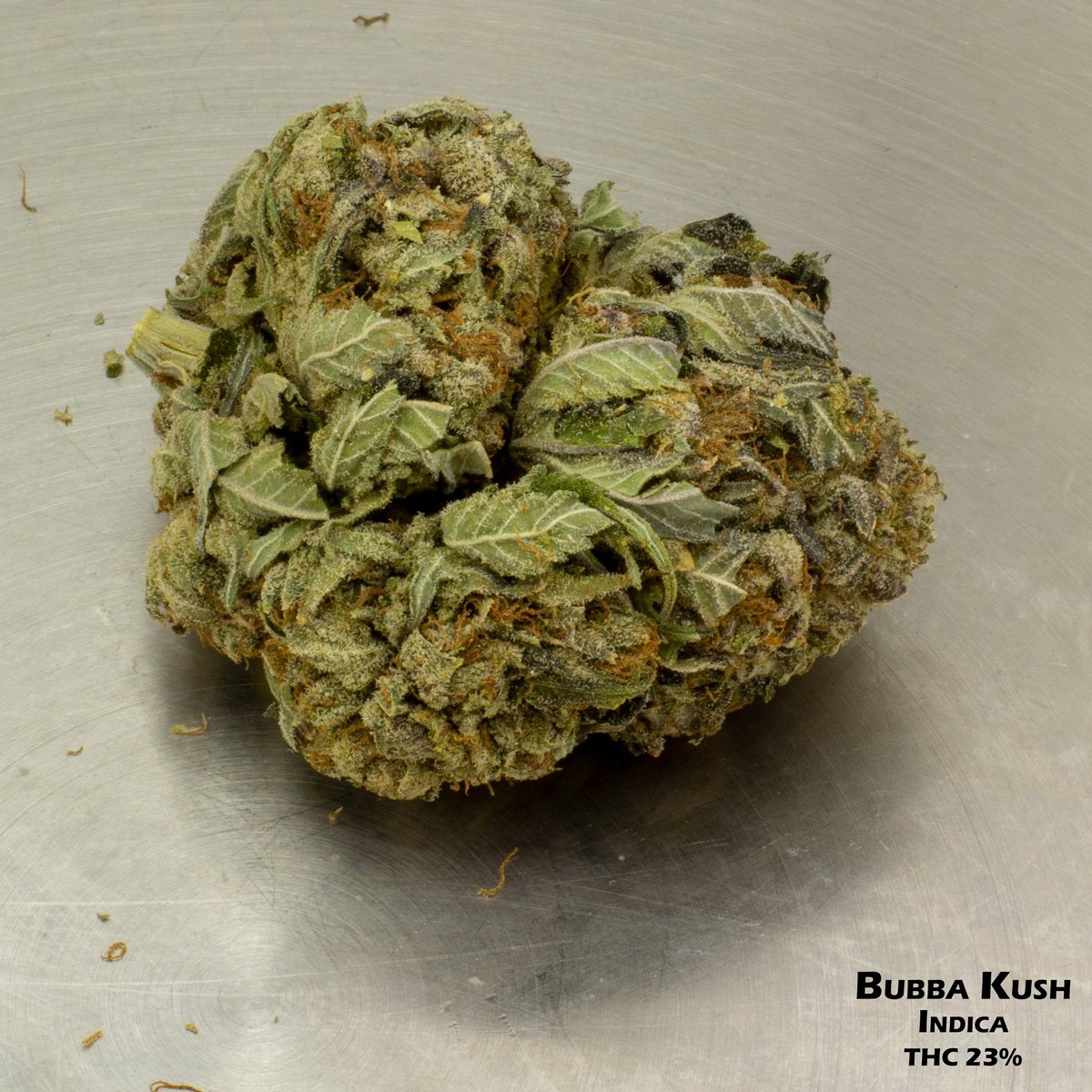 MJBlogCanada's tweet image. It's time to smoke the good stuff 💨 what you smoking tonight? 

#stonerfam #MJBlog #puffpuffpass #cannabisdaily #highlife #weedsociety #highsociety #IamCannabis #cannabis #cannabiscommunity #weed #marijuana #weedporn #weedsociety #weedstagram #cannabisculture #cannabiscanada