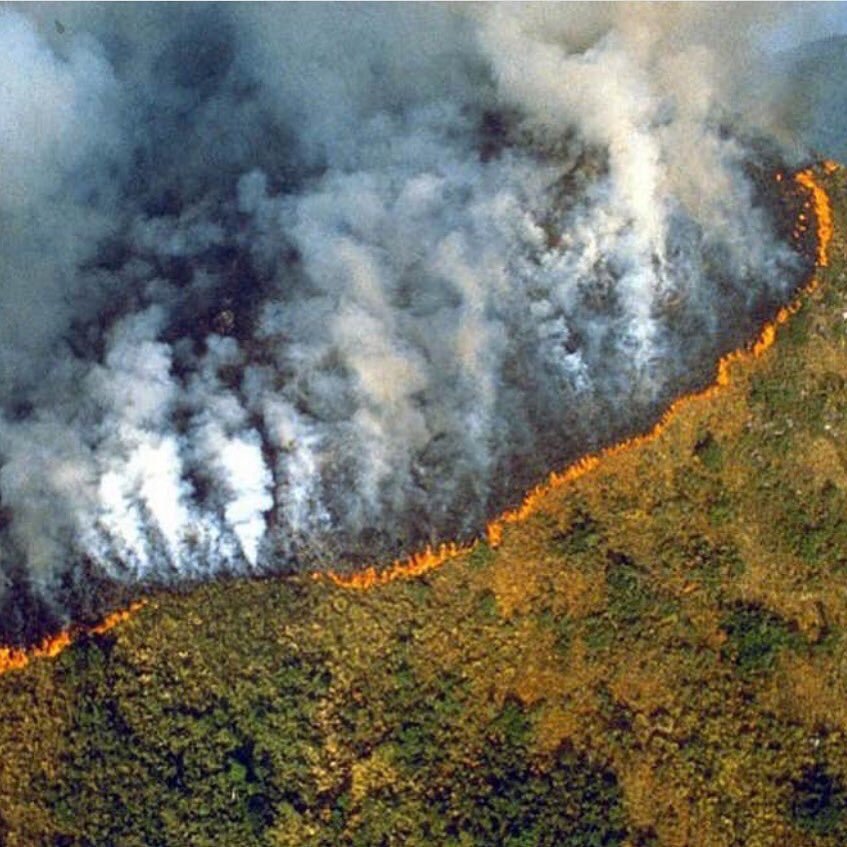 AlexRey0077084's tweet image. Tal vez No Tengamos Ésos Aviones Que Tienen Bolivia, Pero Yo Creó Que La Argentina Tiene Que Ayudar Con Lo Poco Que Tiene. 
Vamos Necesitamos Ayudar Con Algo.
Vamos @mauriciomacri La Amazona Necesita Nuestra Ayuda
#PrayforAmazonia
#Amazonia