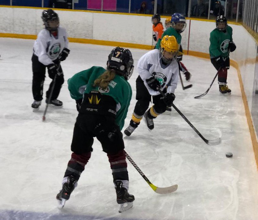 Some intense #PuckPlay at the #FemaleSummerShowcase