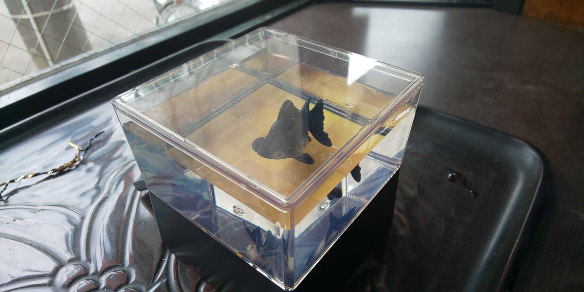 ひかりとみずのカラクリ金魚