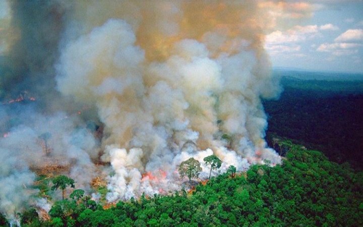 xfjv6rkq8kwjtob's tweet image. Why there is no outrage for amazon rain forest (Amazonia) ??

#saveAmazonia #SaveAmazon #SAVEAMAZONFOREST @BrazilGovNews