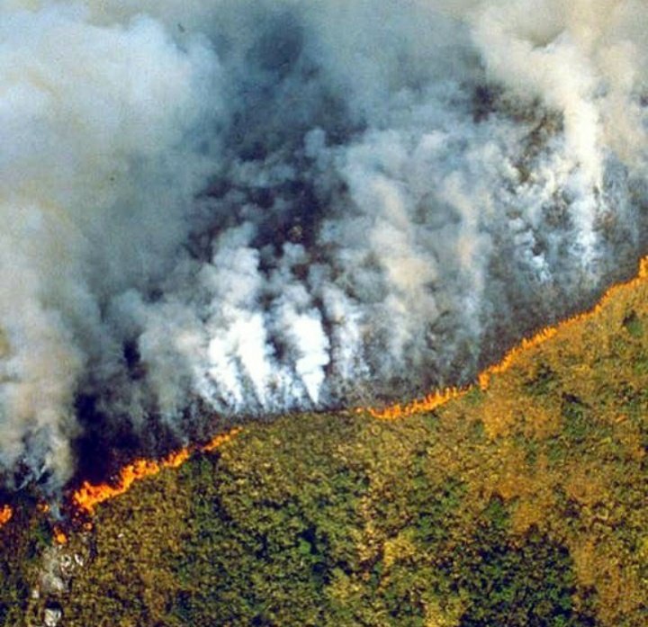 xfjv6rkq8kwjtob's tweet image. Why there is no outrage for amazon rain forest (Amazonia) ??

#saveAmazonia #SaveAmazon #SAVEAMAZONFOREST @BrazilGovNews