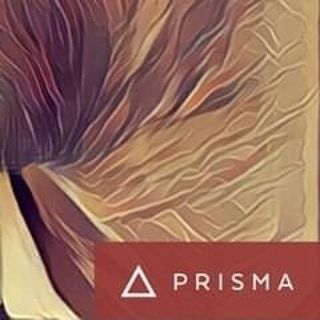 eLYQD.world tweet media