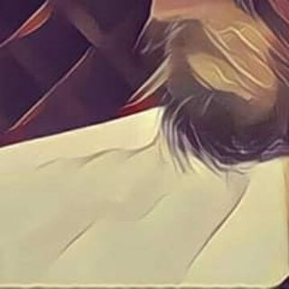 eLYQD.world tweet media