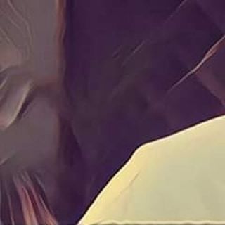 eLYQD.world tweet media