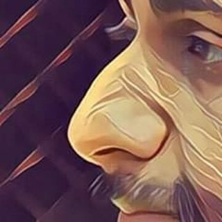 eLYQD.world tweet media