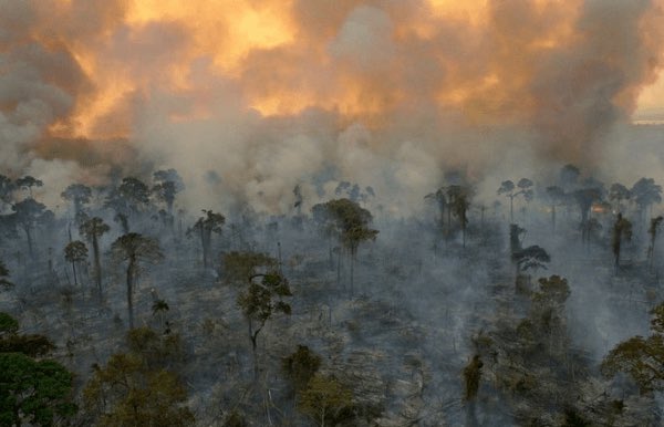 Movienerd153's tweet image. Hell on Earth 2019, after that s4 ending we all know #Lucifer would very much disapprove #SAVEAMAZONFOREST #SaveEarth