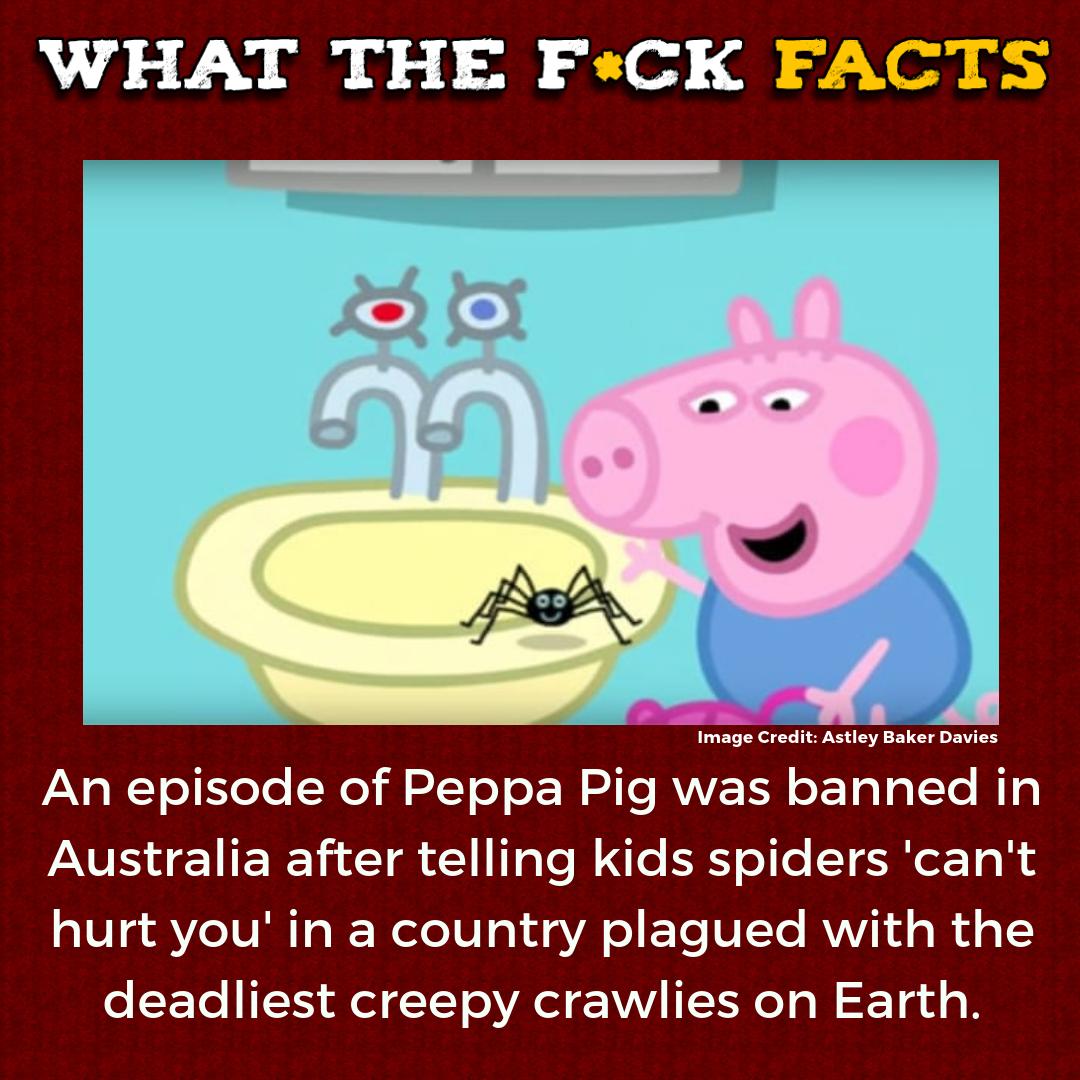 What The F*** Facts on Twitter: "โฆ "