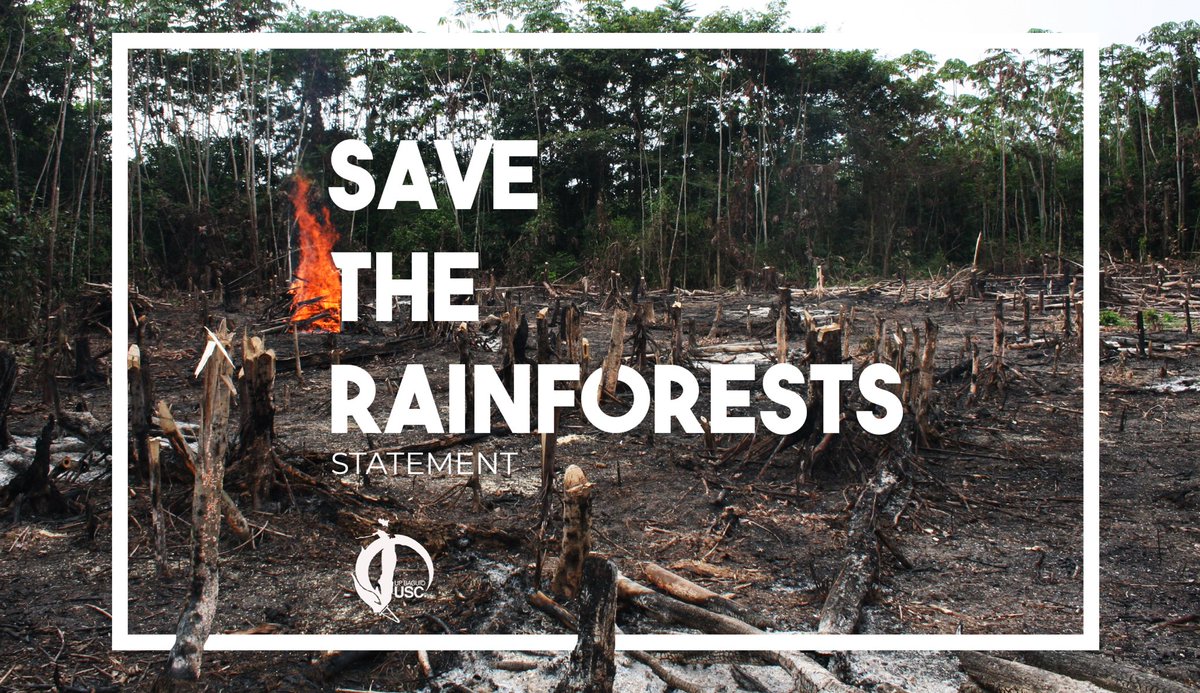 SAVE THE RAINFOREST

The UP Baguio USC is one with the prioritization of ecological systems. Justice for the rainforests is seeking justice for everyone. We must act now.

CLIMATE JUSTICE IS SOCIAL JUSTICE

#PrayForAmazon
#SaveTheRainforests
#ActNow