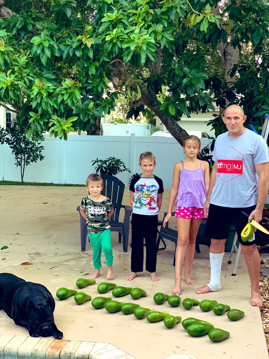 oleynikufc's tweet photo. Сбор урожая. Авокадо 🥑 😉
Harvest
@ETFMG_CEO 
@ETFMG 
$MJ
#etfmg 
#harvest #avocado #oleynik #family #oleynikjr #miami #parkland #олейник #семья #урожай #дети #труд https://t.co/JTF2Ia7uMR