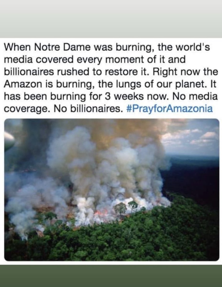 #AmazonRainforest #PrayForTheAmazon #ClimateChangeIsReal #Rainforest #Forest #ForestsAreLife #forestaamazzonica #ForestFires #TreesAreLife #TreesGiveLife #Trees #TreesAreBeautiful #SaveTheRainForest #SaveTheTrees #SaveTheAmazonRainforest #ProtectTheForest  #ProtectTheRainForest