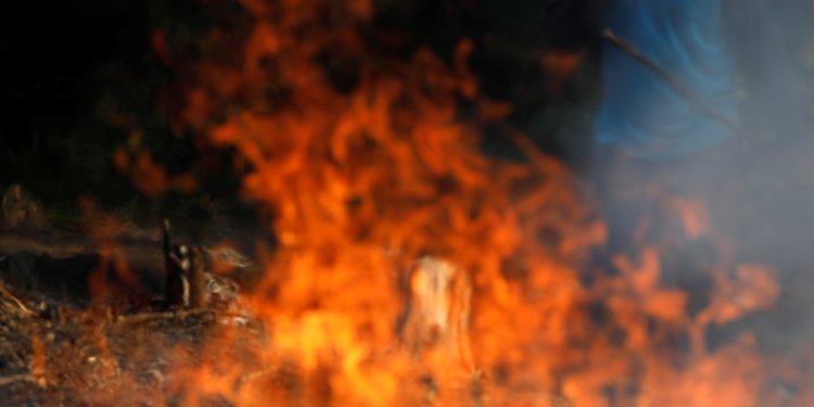 Jahhhin_Cena's tweet image. We all gonna die if we don't save Amazon from the fire 
#AmazonFire #SAVEAMAZONFOREST