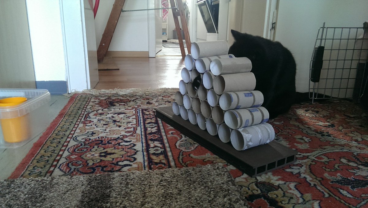 kutschisi's tweet image. Well, first she was an indoorcat in my old apartment, tried to keep her busy when I had to go to work😅 and in the summer the blacony door was always open for her to enjoy the outside world #teamcatmojo #CatifyToSatisfy ...then we moved to the new house...