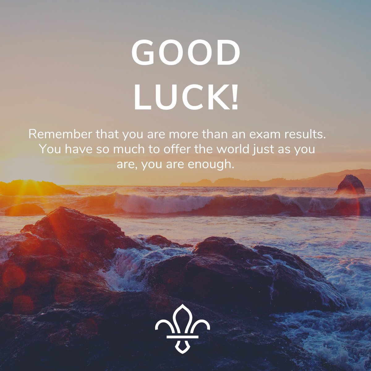 Scouts H&W - Unit 86 25 WSJ 2023 tweet media