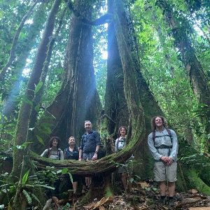 cape to cape tours tweet media