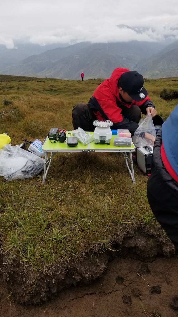 Bruce_WU_94's tweet photo. Welcome to the #XYLab, metaomic sequencing on the field in the #QilianMount in China last year! And this year, lab members will go through the entire process of fieldwork&molecular techniques&sequencing DNA on @nanopore #MinION again. Looking forward @shuixia100 @Corey90451760 https://t.co/eBYo4FSZfD