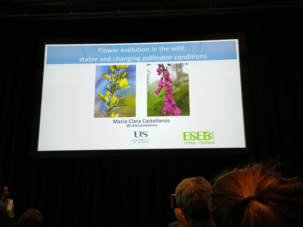 I am addictive to flowers😝 #eseb2019