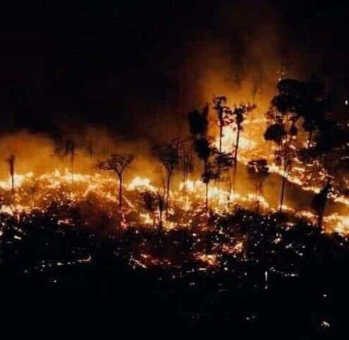 Marinos_themis's tweet photo. THE LUNGS OF EARTH ARE ON FIRE..Only when the last tree is dead, the last river is poisoned and the last fish is caught, we'll understand that we can't eat money.. Each of us should act/do something today to save our planet, for us, for our children...  #PrayForTheAmazon https://t.co/RshUJJ1xbP