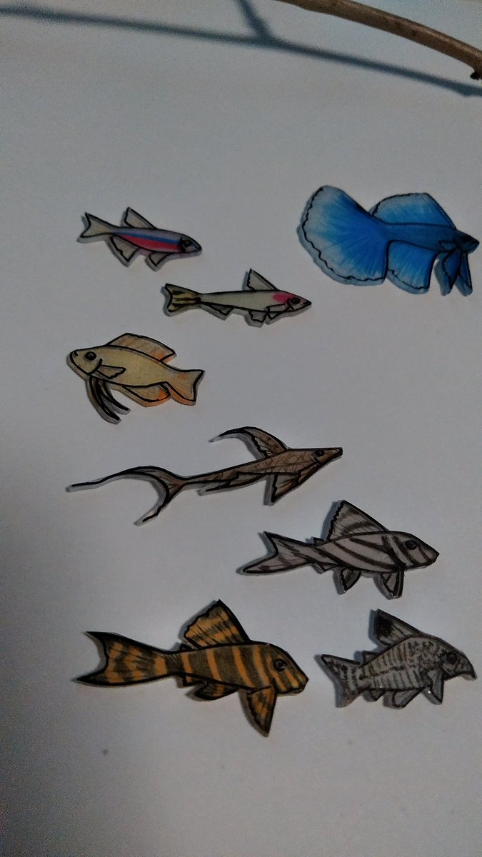 レイ プラバンで立体のプレコを作ってみた 熱帯魚の中ではプレコがすき プラバン 立体 レジン プレコ
