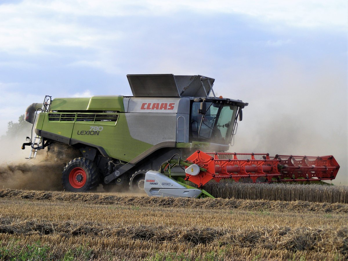 forthrightjames's tweet image. #harvest19 rolls on with John Sheards impressive Lexion 780 (+1230 Vario 41ft Header) at work in Winter Wheat near Honeydon, Beds, yesterday evening :) @FWharvest @CLAAS_Eastern @FMJmagazine