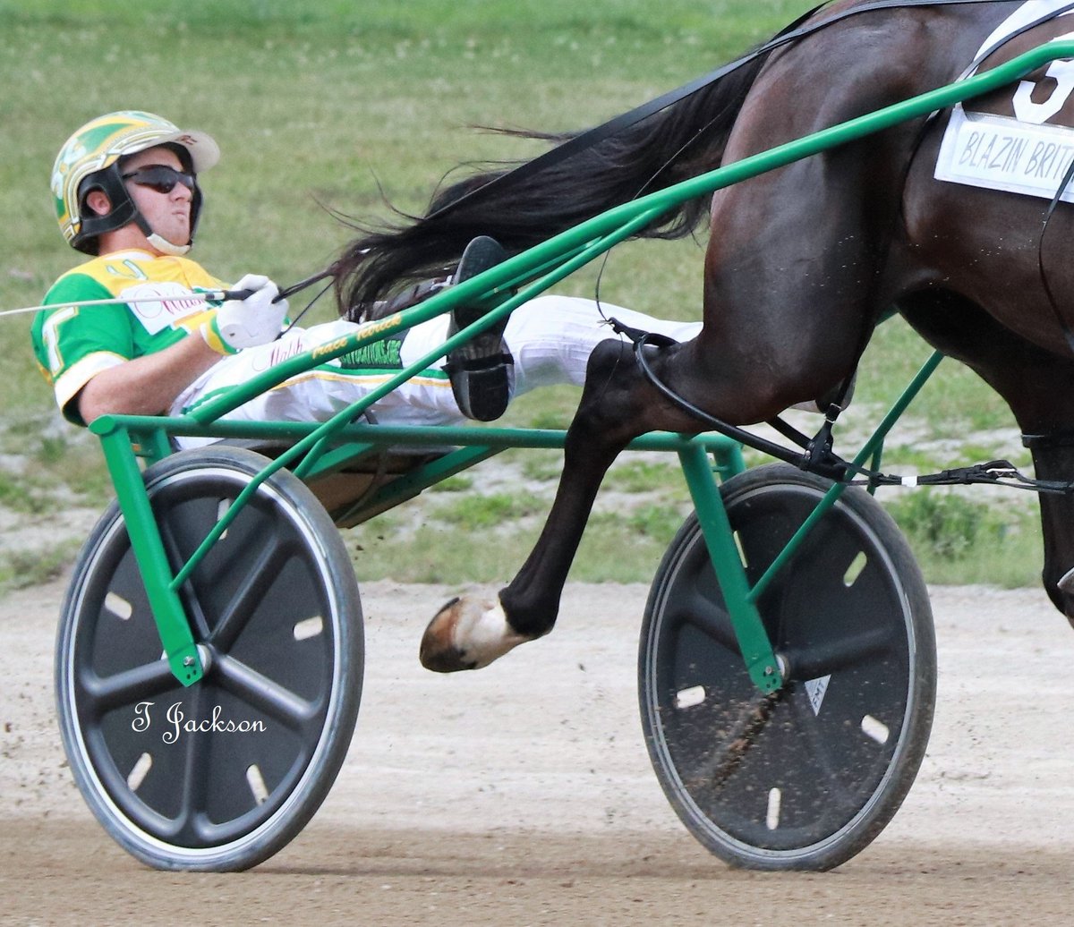 hoosiernations's tweet photo. @TravisSeekman @DLedfo_4 @NicoleAgosti @Chris_wponies @JoannKi32885615 @rebelsart @jtlburn @kimberlymoier @vnssa926 @GlenPeckinpaugh @joe_norte @elliotgordon2 @SadandSulk @blongphee67 @INStandardbred @HoP_Racing @musicalhossgal @tlvonline @miller_marijane @russell_swenton @RustyVorhees @GunnarDunning @ArthurLisiMusic @JRhein98 @cheepster13 @BradA53472906 Last night at Hoosier
#HatTrick @TraceTetrick #TjsTopPick #Sammonsletsroll #DowahsBoy

#DrivingDouble
@yoder_james #ReisHonorRoll #PrincessSharktank
DaleHiteman #WrappedInRubies #BeabobsBear
Congrats gentlemen!!

@WrennSandy @yoderstable13 https://t.co/Js3l2GYUfP