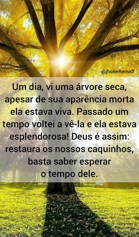 leninha on Twitter: leninha on Twitter: