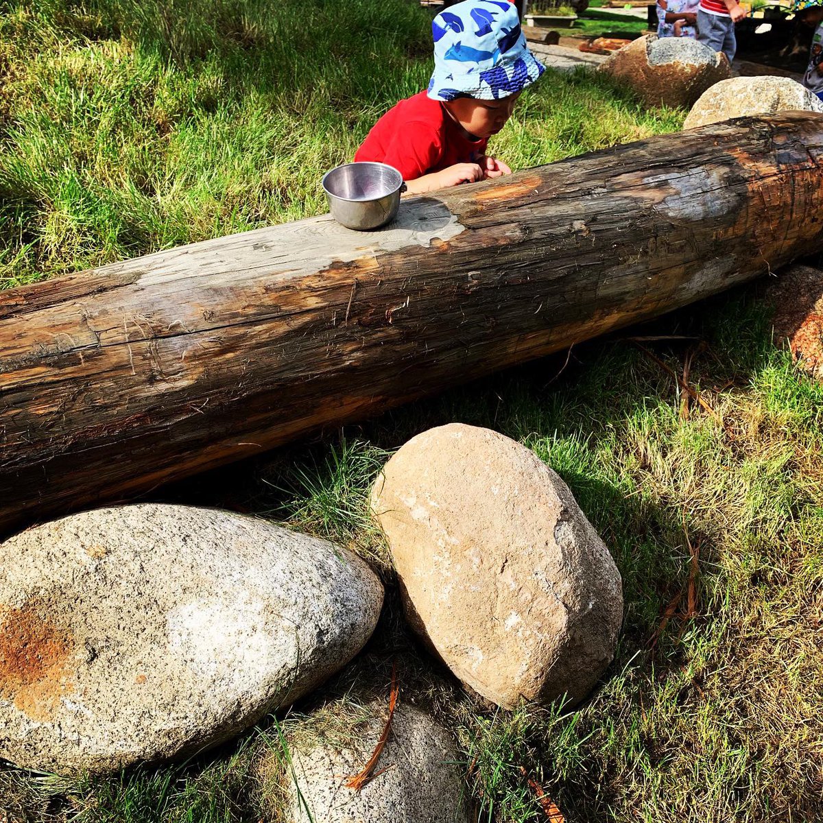 Scaledspace's tweet image. #Kamloops Child Development Centre making great progress on their #nature playground