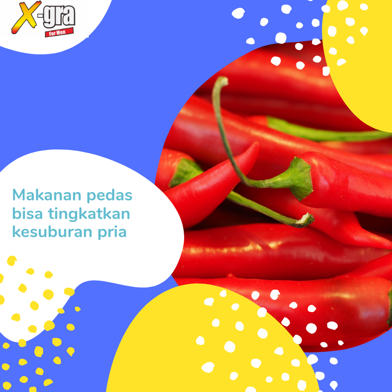 Cabai merah mengandung antioksidan tinggi yang umumnya berguna untuk membantu membakar lemak &amp; meningkatkan kebahagiaan. Namun ternyata cabai merah dengan kandungan capsaicin-nya juga membantu melancarkan peredaran darah ke penis sehingga mempermudah ereksi.

#Xgra