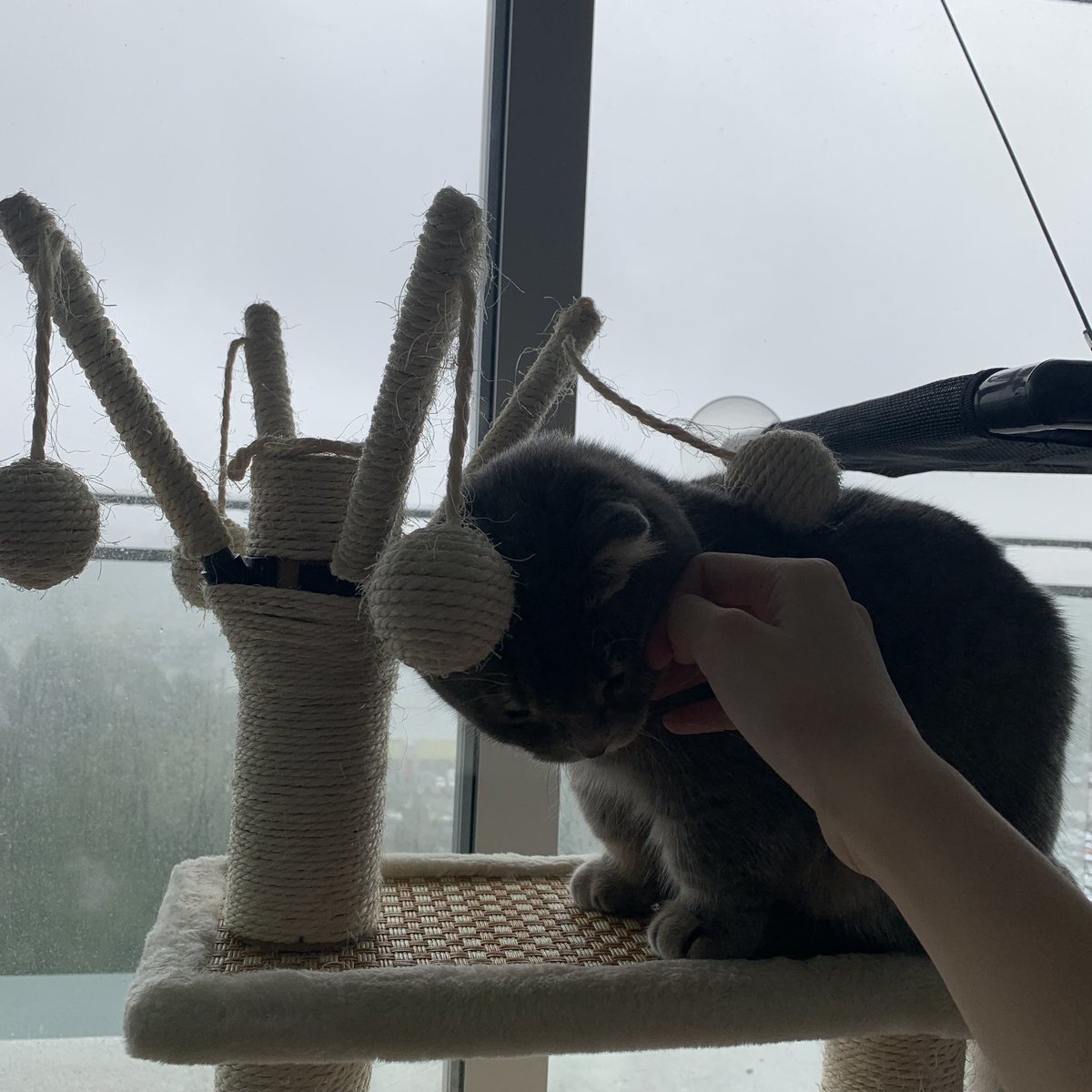 Rainy Day🌧