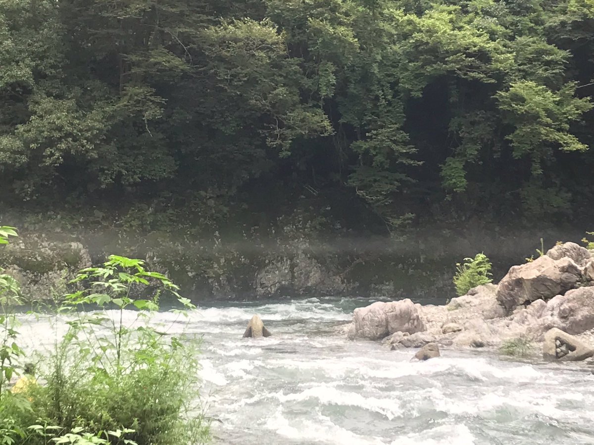 kenjiru318's tweet photo. 2019年夏！最後の川部！BBＱを終えました〜！！

今年も夏を味わえました。

気圧のせいなのか川の上空1m辺りの空中に白い帯状の白い気体が現れました〜！

夏の思い出でぇ〜〜す！

#けんじる #食い込MEN #芸人 #お笑い #ギャグ #吉本  #ネゴシックス #GO皆川 #CHANMEN #BBＱ #川部 #夏 https://t.co/EnP44tW9W4