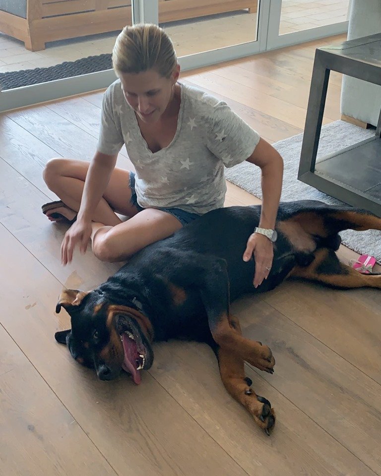 finelinefamily's tweet photo. I think Tyson is going to do just fine!
#forsale #dogforsale #forsaledog #familyprotectiondogs #protectiondog #protectiondogs #personalprotectiondog #dogsofinstagramworld #housetrained #dogsofig #workingdogs #instadog #doglovers #familyprotection #kidsafe #workingk9 #workingdog https://t.co/KUf13LGO9O