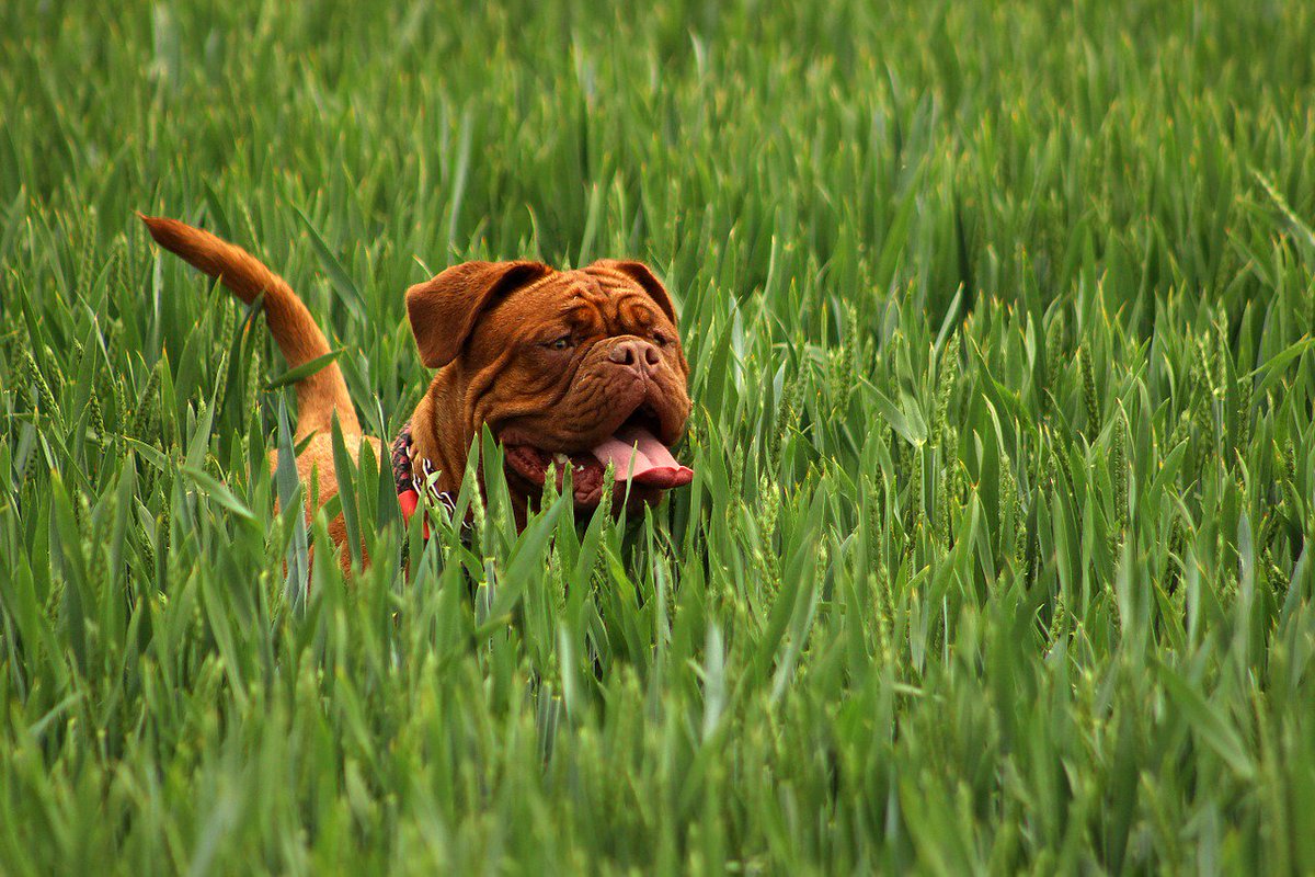 perfectautomat's tweet photo. Why eco-consciousness is good for your pet business  https://t.co/BdHYgatUwx … #sustainability #petindustry https://t.co/g7HKxrvVWY