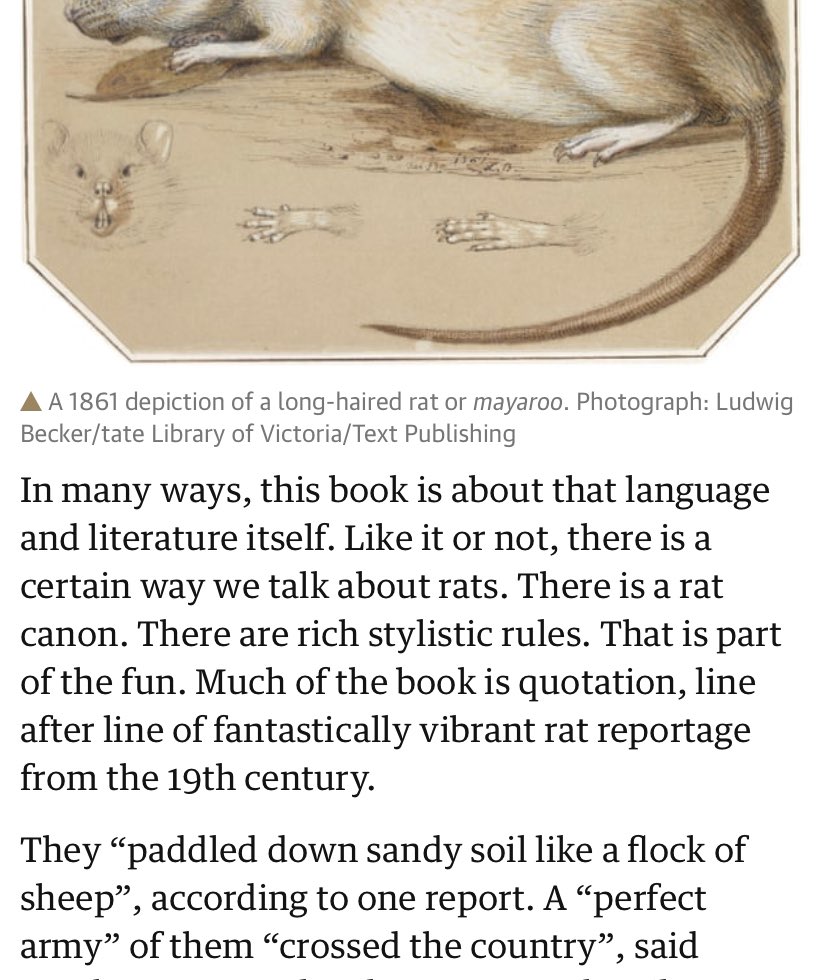 Lois Beckett On Twitter It Was Described By Zoologist Hh