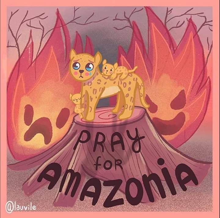 LeonelaEs's tweet photo. Esto que está pasando en el mundo es algo inhumano 😔 #PrayforAmazonas #PrayForTheAmazon #amazonasenllamas #Amazonia 
💔💔💔💔💔💔 https://t.co/CsZyd9KJix