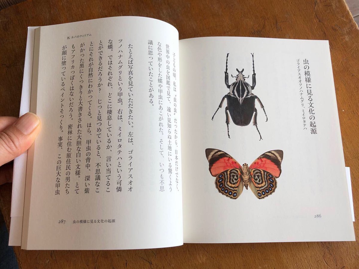 Ao Yoru Sora Auf Twitter 芸術と科学のあいだ 福岡伸一著 木楽舎発行 芸術にも精通している生物学者 福岡伸一さんによるコラム 虫の模様に見る文化の起源 アフリカのゴライアスオオツノハナムグリ 難しい名前 はアフリカの密林に住む原住民の男性 Ao Yoru Sora Auf Twitter 芸術と科学のあいだ 福岡伸一著 木楽舎発行 芸術にも精通している生物学者 福岡伸一さんによるコラム 虫の模様に見る文化の起源 アフリカのゴライアスオオツノハナムグリ 難しい名前 はアフリカの密林に住む原住民の男性