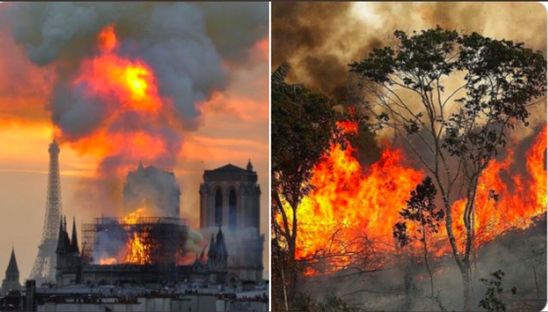 Moosamatrooshi's tweet photo. When Notre Dame was burning the world stopped.Billionaires and politicians emptied their pockets to help rebuild.Meanwhile the amazon has been burning for three weeks. The difference is,we don't get to build a new earth.When it's gone,it's gone.#PrayforAmazonas 
#AmazonRainforest https://t.co/F3zWoeYAkv