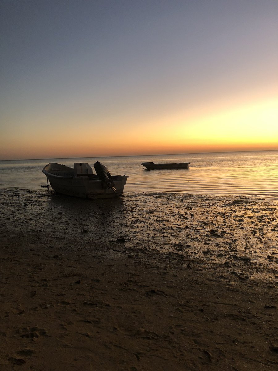 c_cloclo_c's tweet photo. @moohaa_r Tous à madagascar💛 https://t.co/olFA7IEGFi