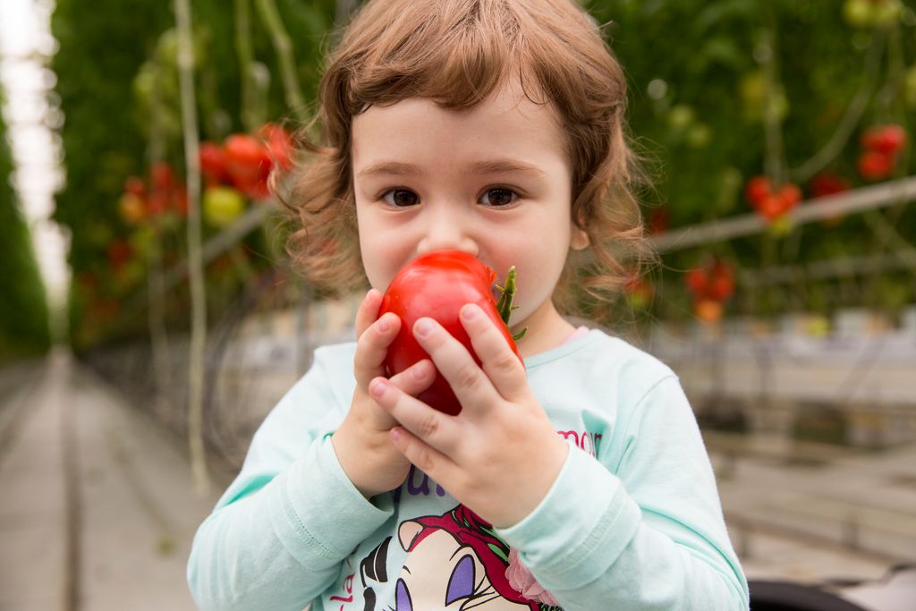 Vegetables are part of a healthy diet #PlantBreeding helps produce attractive &amp; colourful vegetables to stimulate vegetable consumption #EmbracingNature #sharingahealthyfuture Read more: bit.ly/306rzeJ