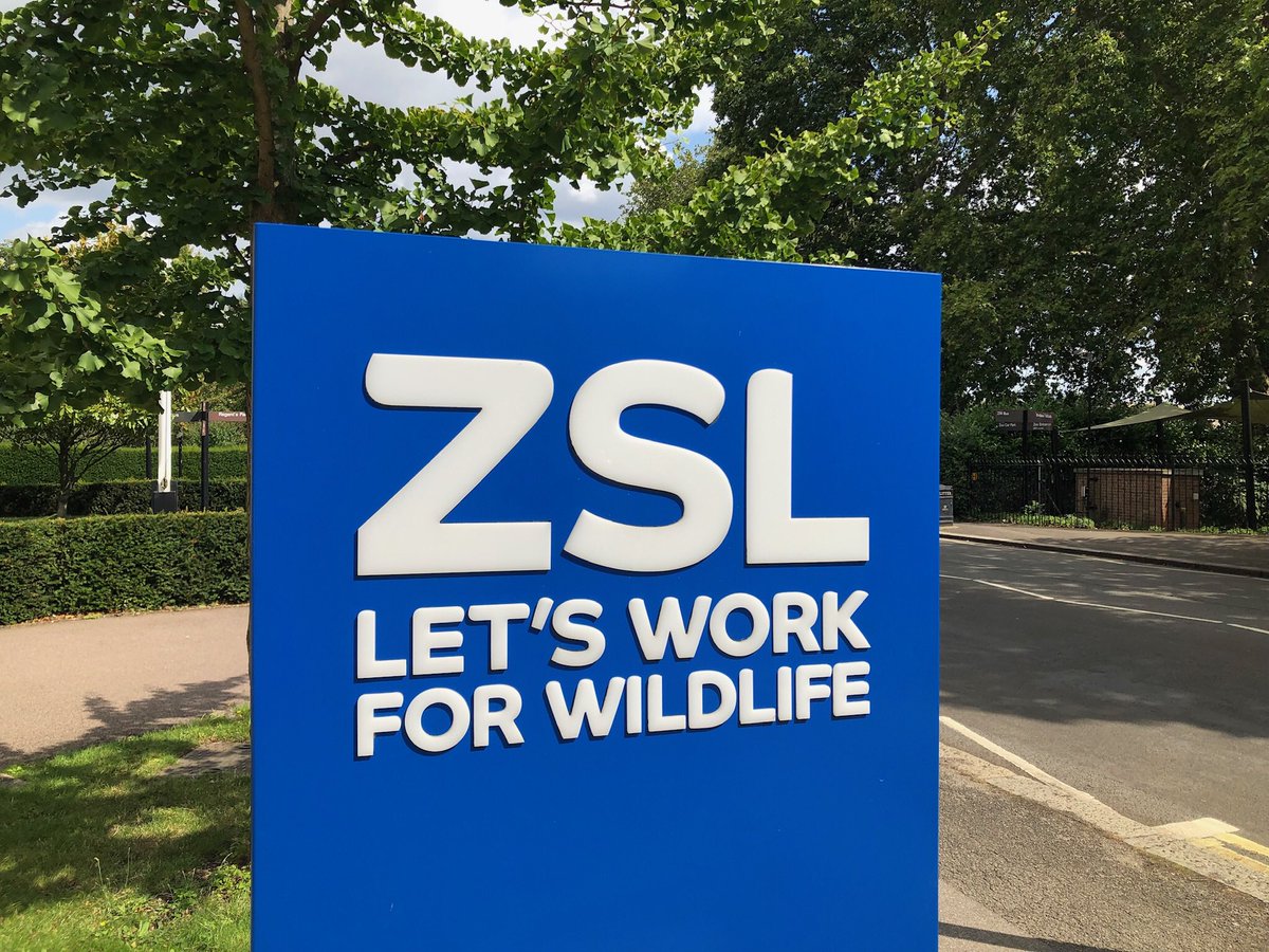 movedecologist's tweet photo. London (and freshwater fish) calling: great to meet with Brian Zimmerman and colleagues from the Zoological Society of London to talk about freshwater fish conservation. Also, visited the UK’s first freshwater fish dedicated aquarium at Whipsnade Zoo! ⁦@ChurchillTrust⁩ https://t.co/RlY7zoHrAy