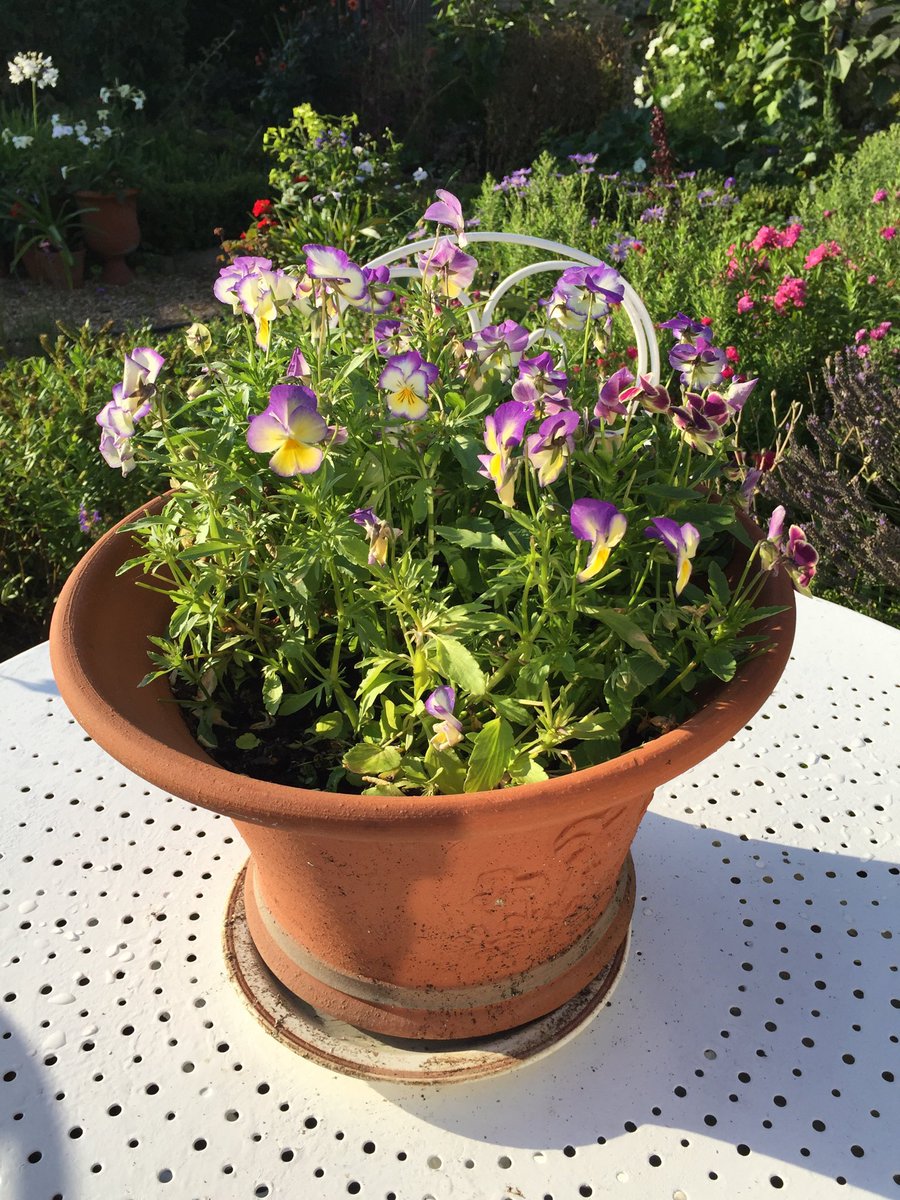 Home after an incredible time in Australia and India #nuffield19. A huge thank you <a href="/NuffieldFarming/">Nuffield Farming</a>, my main sponsors Central Region Farmers Trust additional sponsors @EoEAgricultural <a href="/IanWaller2/">Ian Waller</a> <a href="/garyjmarkham/">Gary Markham</a> and of course my family and work 😀